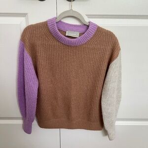 Everlane The Alpaca Crew color block sweater XS